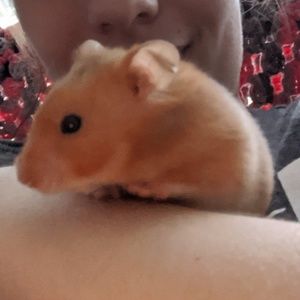 Meet your Posher, Kelsey